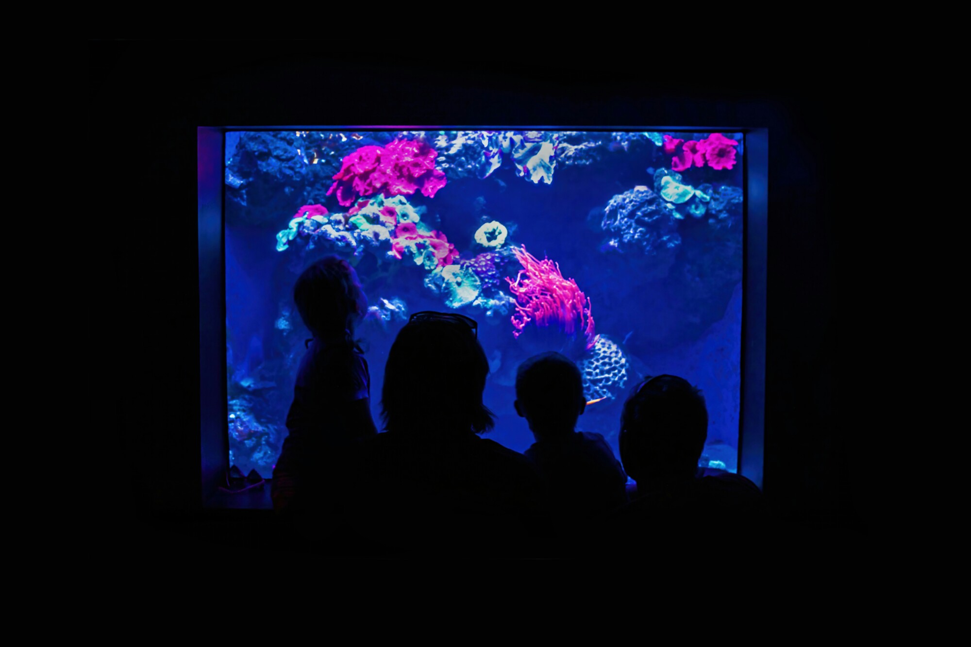 Toronto Things to Do with Family