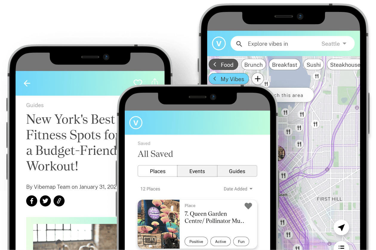 Vibemap Platform Features