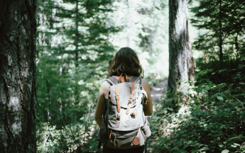 easy hikes in sf