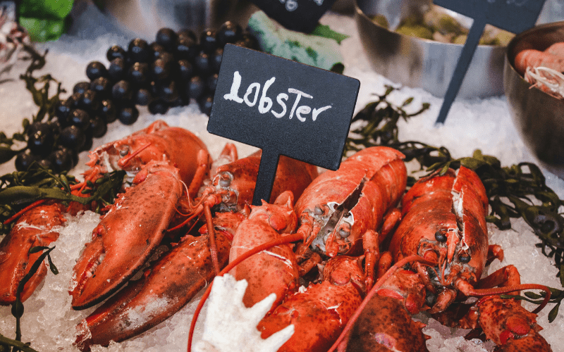 fresh lobster san francisco