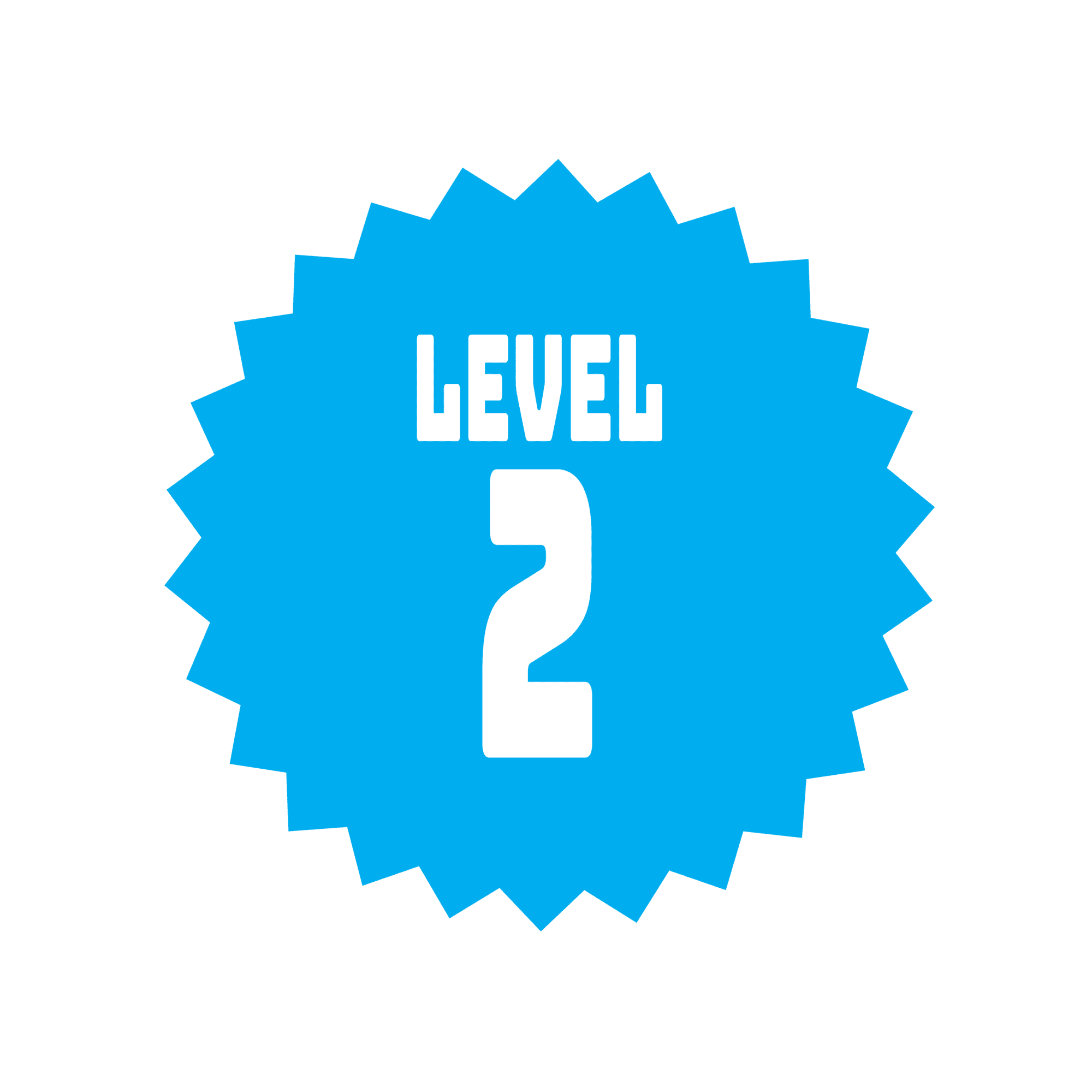 Level 2 – 200 points