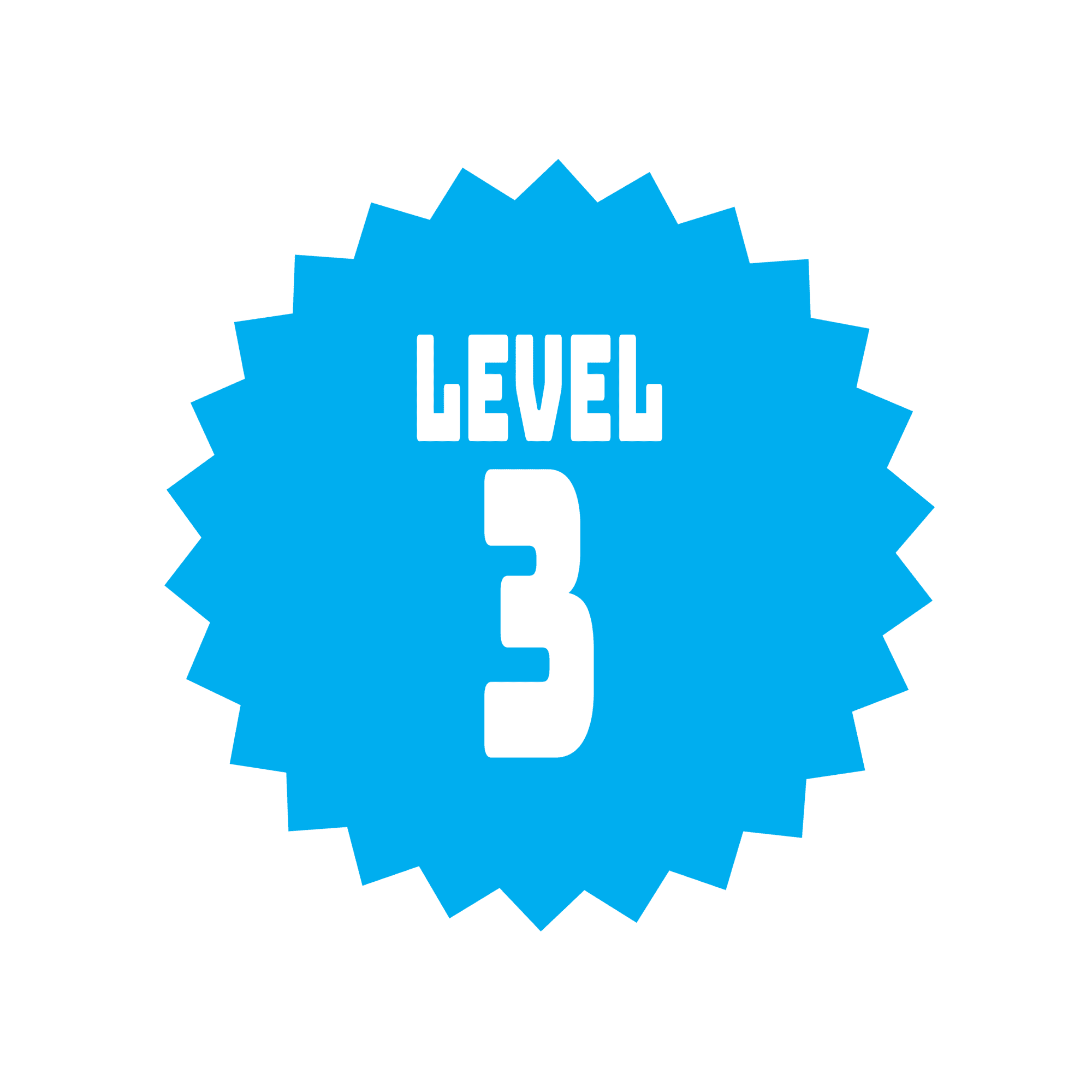 Level 3 – 320 points