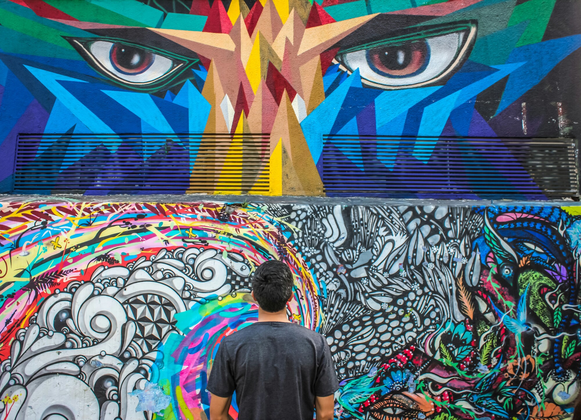 A man looking at a mural