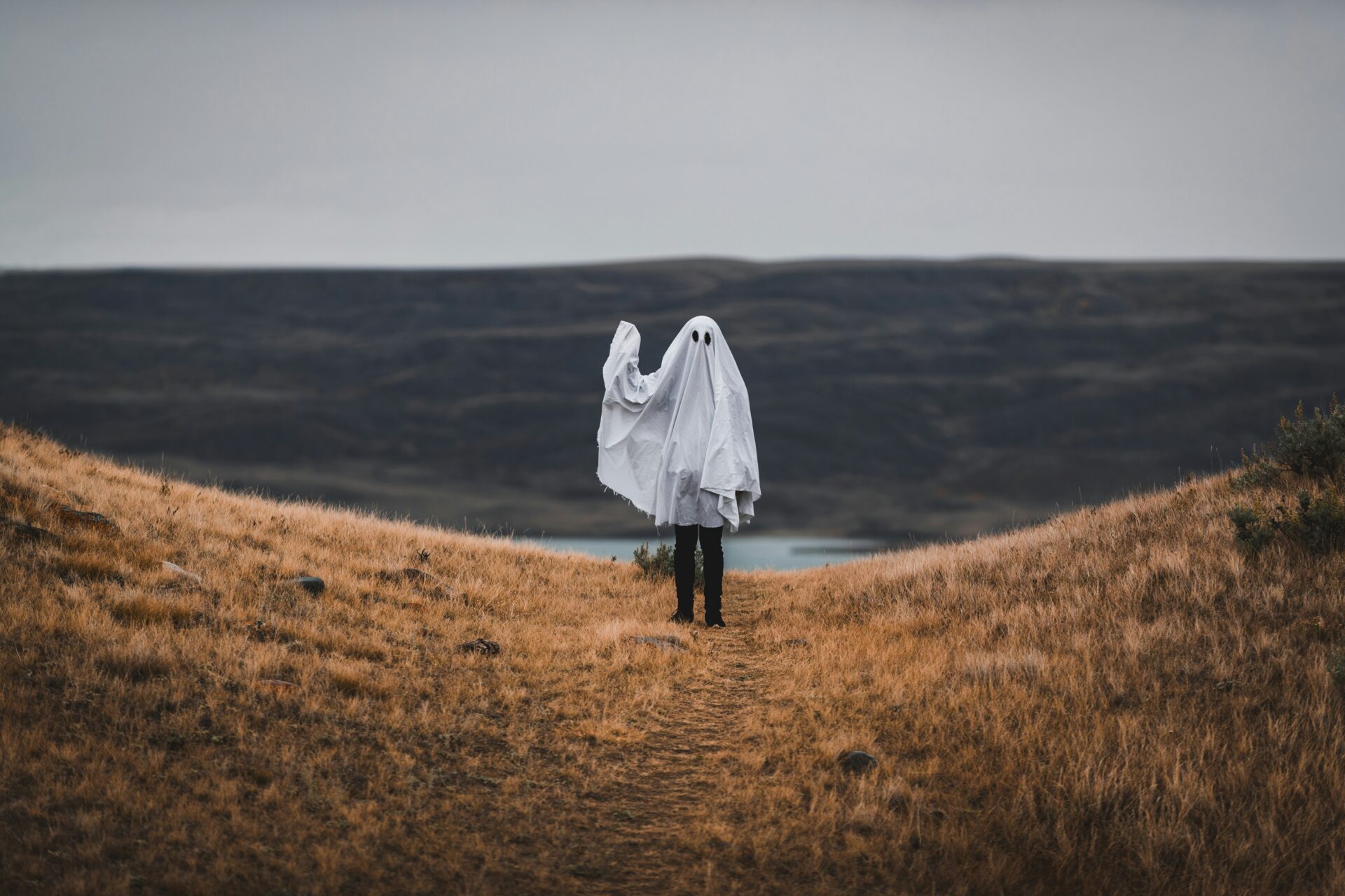 A person dressed as a ghost standing in nature .