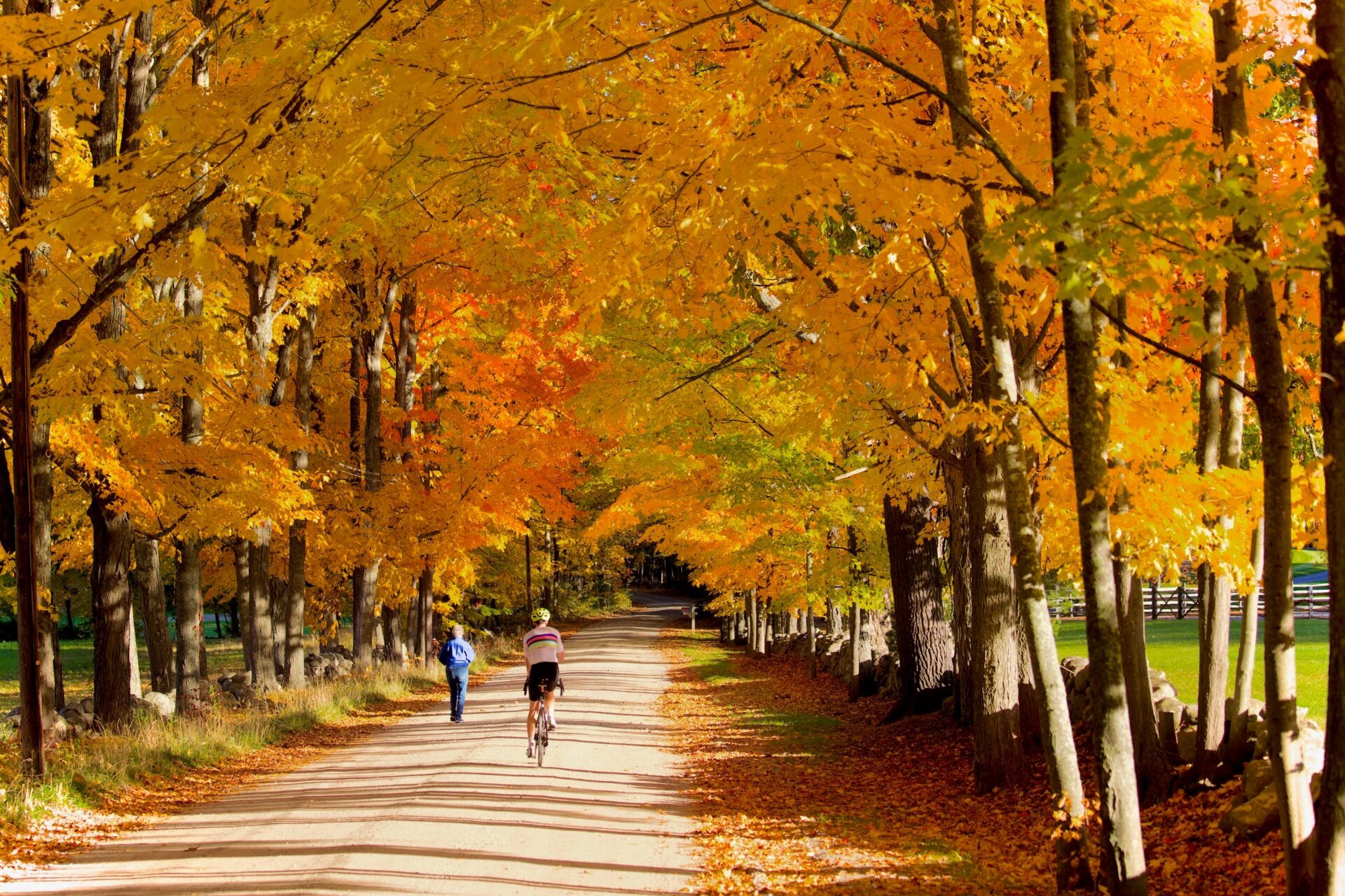 A multi-use path going through a forest with changing fall leaves.