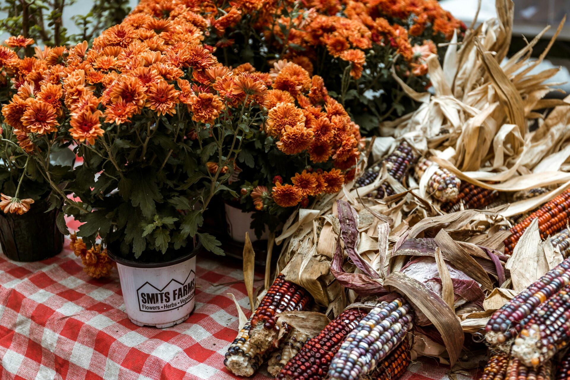Flowers and corn at a farmers market.